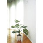 光触媒加工モンステラ75cmで快適インテリア