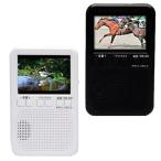  eko радиоконтроллер карман многофункциональный радио для экстремальных ситуаций карман размер 1 SEG телевизор легкий уличный TLM-MTR027