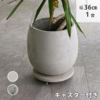 セメント製キャスター付きプランターキャリー 幅36cm 