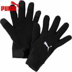  Puma TEAMLIGA 21 winter перчатка 041706