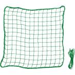 es SK ремонт сеть * большой SNH60