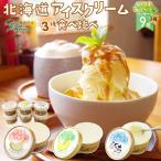 北海道 アイスクリー�