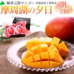  высшее холод .. манго Hokkaido ... производство .. озеро. . день 3L размер 2 шт 