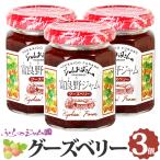 ふらのジャム園 グーズベリージャム 3個セット(140g×3) お取り寄せ ベリージャム 北海道 富良野 ジャムおばさん