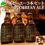 乙部ビール OTOBBEAN IPA 3