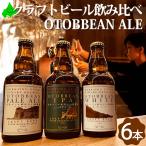 乙部ビール OTOBBEAN ギ