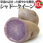  тень Queen 10kg картофель Hokkaido производство .... маленький поэтому айнтопф и т.п.. ... Hokkaido jagaimo ваш заказ производство прямой клубень 