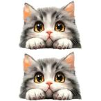  манга способ кошка стикер 14x11cm водонепроницаемый переводная картинка автомобильный * ноутбук * гитара приклеивание закрытый наружный двоякое применение 