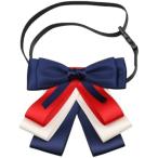  трехцветный лента галстук school стиль школьная форма костюмированная игра Лолита многофункциональный пряжка имеется 