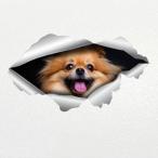 pomelani Anne собака стикер 2 шт. комплект водонепроницаемый атмосферостойкий винил переводная картинка машина * ноутбук * гитара для 15x8cm