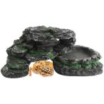  рептилии * земноводные для полимер производства мокрый ракушка ta-.. дом влажность техническое обслуживание линька поддержка скала место способ дизайн 