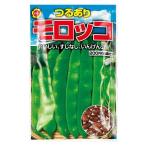 つるあり モロッコ