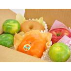  осень тест пробный маленький фрукты комплект ( груша яблоко хурма мандарин ) осенний тест .