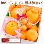 ショッピング甘平 旬のプレミアム 柑橘 プチ フルーツ ギフト 化粧箱入り フルーツ 果物 プレゼント ラッピング リボン 無料メッセージカード