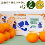 ショッピングみかん ＜12月中旬頃入荷予定＞ 完熟三ケ日 早生 みかん「心（こころ）」Sサイズ3キロ【赤秀品】 (36個前後) 静岡 浜松