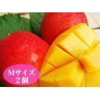 食べ切りサイズ宮崎産完熟マンゴーMサイズ2個セット(透明パック入り)