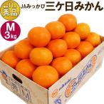 11月中旬頃より順次ご発送 三ヶ日みかん【秀品】Mサイズ3キロ(27個前後) お試し みっかびみかん  静岡 浜松 早生みかん