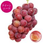  Queen колено na1. превосходящий товар сеть . виноград .. виноград виноград фрукты фрукты ваш заказ подарок подарок подарок 