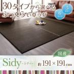 ラグマット 191×191cm〔Sidy〕ブラウン 30タイプから選べる国産ふっくらい草ラグ〔Sidy〕シディ〔代引不可〕