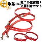 犬革2頭引き首輪リードセット名前入...