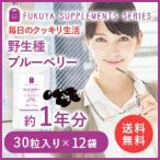 ブルーベリー サプリメント ビルベリー ルテイン レスベラトロール クランベリー マリーゴールド コエンザイムQ10 メグスリノキエキス末 30粒×12袋 約1年分