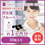 ブルーベリーサプリメントビルベリー...