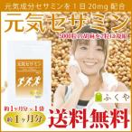  сесамин supplement примерно 1 месяцев минут *60 шарик сесамин сочетание 20mg дополнение кунжут * резина *. лен примерно 5000 шарик минут распродажа SALE