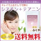 シスチン テアニン サプリメント 約3ヶ月分・270粒 肌 髪 アミノ酸 サプリ セール