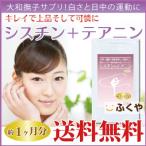 シスチン テアニン サプリ 約1ヶ月分・90粒 アミノ酸 サプリメント Lシステイン システイン/L-システイン  医薬品 セール SALE howks_nippons_sale2015_pokkiri