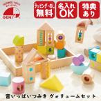 びっくり特典あり 名入れサービスあり 音いっぱいつみき ヴォリュームセット おもちゃ 知育玩具 あそび道具 子供玩具 ラッピング無料