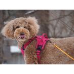 Hurtta フルッタ アクティブハーネス 40〜60サイズ ハーネス 犬