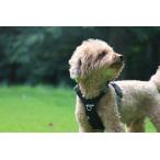 フィンランドのドッグブランド・ロー...