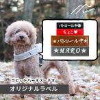 [Hakusan][ кролик Harness * Neo ] оригинал этикетка 