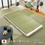 【 送料無料 】日本製 い草 シーツ/寝ござ 〔グレー シングル 約88×180cm〕 抗菌 防臭 調湿 熊本県八代産イ草使用 〔ベッドルーム 寝室〕〔代引不可〕