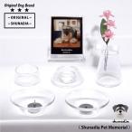  домашнее животное предметы для домашнего буддийского алтаря симпатичный половина прозрачный стекло домашнее животное предметы для домашнего буддийского алтаря 8 позиций комплект стекло оригинал фоторамка ароматическая палочка свеча есть .. домашнее животное memorial домашнее животное Roth . мемориальная табличка под рукой .. домашний алтарь 