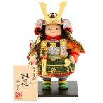 [ all goods P10%]100 anniversary SALE Boys' May Festival dolls . one light pine cape doll child large . decoration doll single goods ... gold small . green .YaekoProject h065-koi-5815
