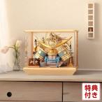 五月人形 コンパクト 上杉謙信 兜ケース飾り 兜飾り 宝童監修 白金北斗上杉兜 8号 アクリルケース h085-mm-ck2607-8