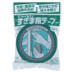 セメダイン TP-161 すきま用テープ グレー 10mmx15mmx2m 2巻入 CEMEDINE 309325 '