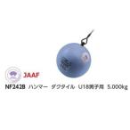 Hammer U18 мужчина . для nisi спорт наземный NISHI ковкий Φ100mm 5.0kg NF242B