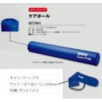 NISHI ニシ・スポーツ ケアポール キャリングバッグII付き Care Pole NT7991