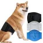 KUVEELA PET собака для ремень для животных самец собака для подгузники собака для трусы на подгузник мужчина . прогулка . выход салон .... уход departure . период "дышит" . водный хороший повторный 