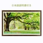 ¥¯¥í¥¹¥¹¥Æ¥Ã¥Á »É½«¥¥Ã¥È Âç¼ù ½é¿´¼Ô ´Êñ »É½« Á÷ÎÁ̵ÎÁ