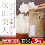 玄米 5kg お米 あきたこまち 送料無料 秋田県産  秋田美人 令和５年産 うるち米 精白米 ごはん