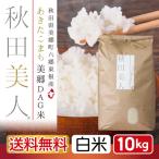 白米 10kg お米 あきたこまち 送料無料 秋田県産  秋田美人 令和５年産 うるち米 精白米 ごはん