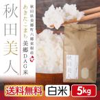 白米 5kg お米 あきたこまち 送料無料 秋田県産  秋田美人 令和５年産 うるち米 精白米 ごはん