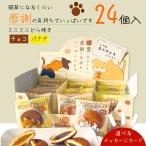 ショッピングメッセージカード無料 【送料無料】感謝のもぐもぐ どら焼き ２種類 チョコ バナナ 24個入り 【メッセージカード付】