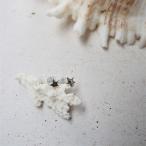 Yahoo! Yahoo!ショッピング(ヤフー ショッピング)星　ピアス　シルバー925