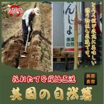  Японский ямс природа сельское хозяйство . из .. длина . прямая поставка от производителя *jinenjo*.....* горный ямс *....