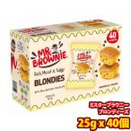[ одиночный товар ] затраты ko Mr. брауни Blondie -z1kg(25gx40 шт ) (0667342800752)