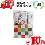 【10袋セット】【選べる紙帯】お菓子 詰め合わせ ヤスイフーズ 感謝柿ピー 6g 2コ入り 袋詰め メール便 (omtmb8948) 感謝 お菓子 個包装 ばらまき お礼 退職
